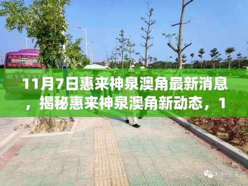 揭秘惠来神泉澳角最新动态,掌握关键信息的深度报道(11月7日更新)