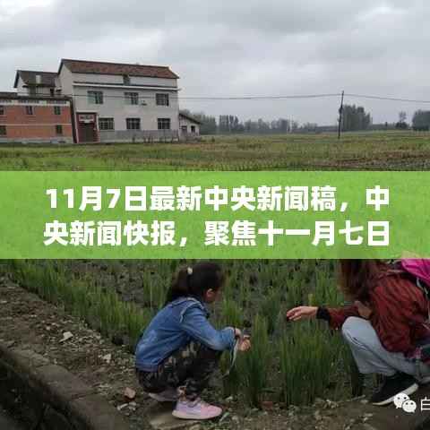中央新闻快报聚焦,十一月七日政策动向与热点解读