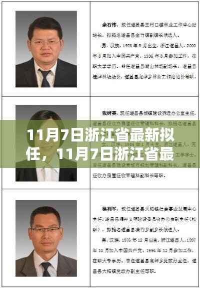 11月7日浙江省最新拟任详细步骤指南,初学者与进阶用户必读