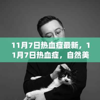 11月7日热血症,自然美景之旅,探寻内心平和宁静的力量