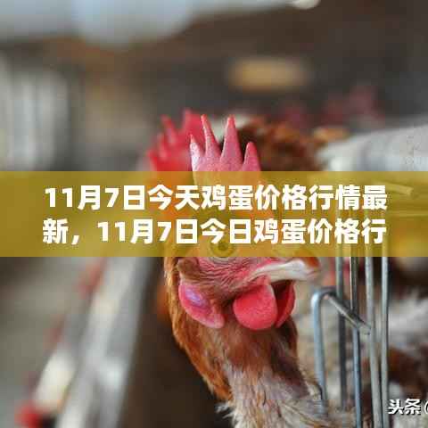 初告白 第17页