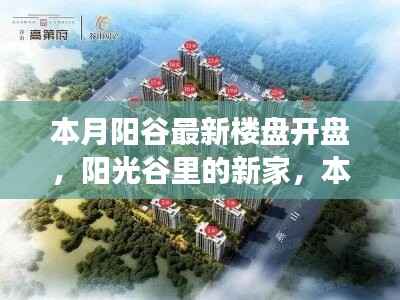 本月阳谷楼盘开盘,阳光谷新家的小确幸
