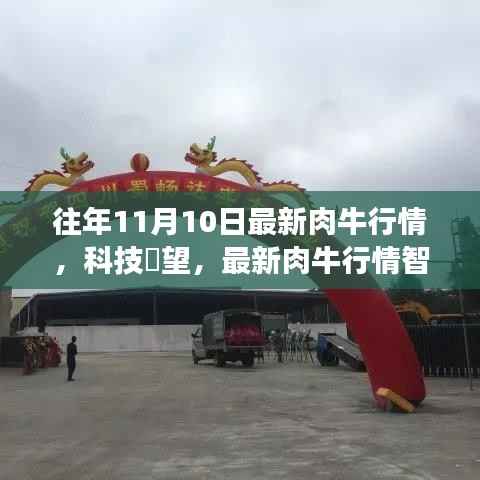 精品展示 第363页