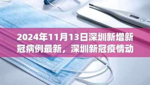 2024年11月13日深圳新冠疫情动态,最新病例增长与防控进展