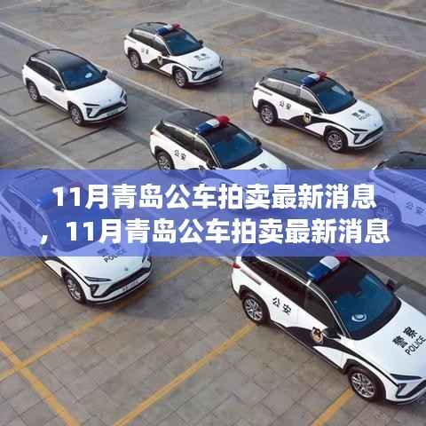 青岛11月公车拍卖最新动态，处置细节全面解析
