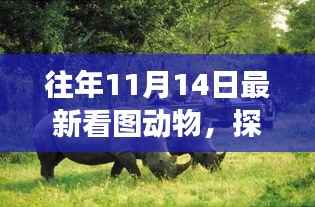 没精打采 第14页