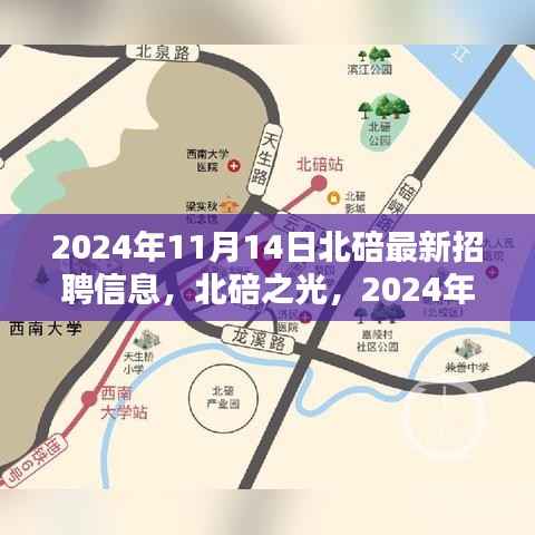 联系我们 第339页