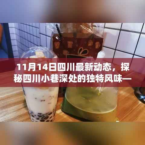 探秘四川小巷深处的独特风味,最新动态揭秘四川(11月14日更新)