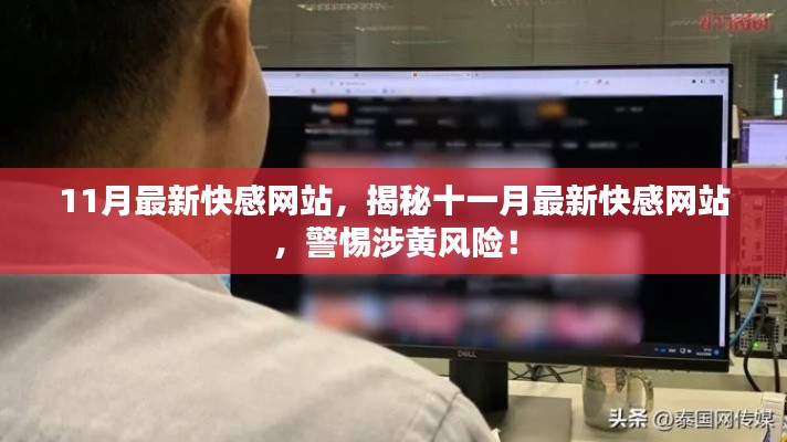 揭秘十一月最新快感网站,涉黄风险警惕,安全上网需留心!