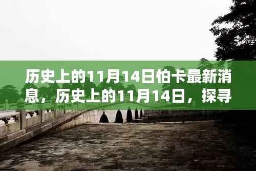 探寻怕卡最新消息,历史上的11月14日揭秘真相的神秘面纱
