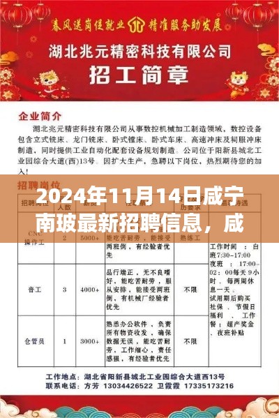 咸宁南玻最新招聘信息揭秘,职业发展机遇与职位探寻(2024年11月14日)