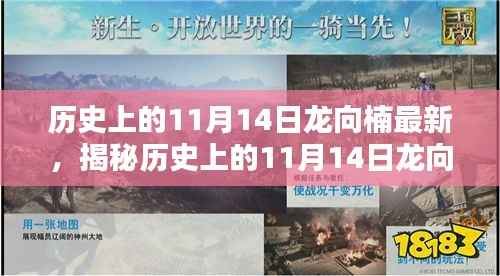 探寻传奇人物龙向楠,历史上的11月14日揭秘最新进展
