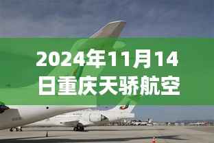重庆天骄航空新篇章,学习变化,自信翱翔,开启梦想之旅(2024年11月14日最新消息)