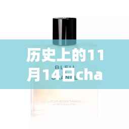 香奈儿之日的时尚之旅,纪念11月14日的Chanel Santini最新图与温馨回忆