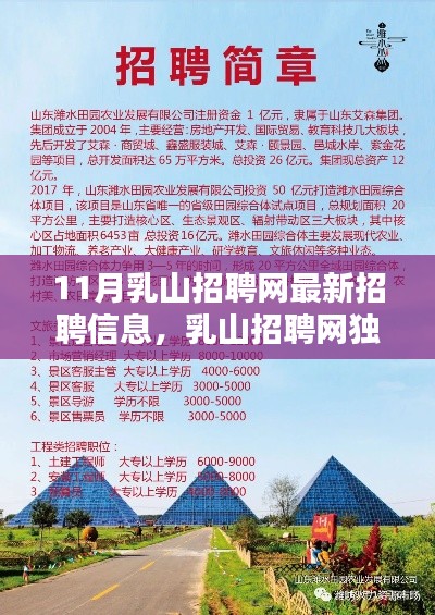 乳山招聘网独家爆料,最新招聘信息大揭秘,十一月求职者的福音