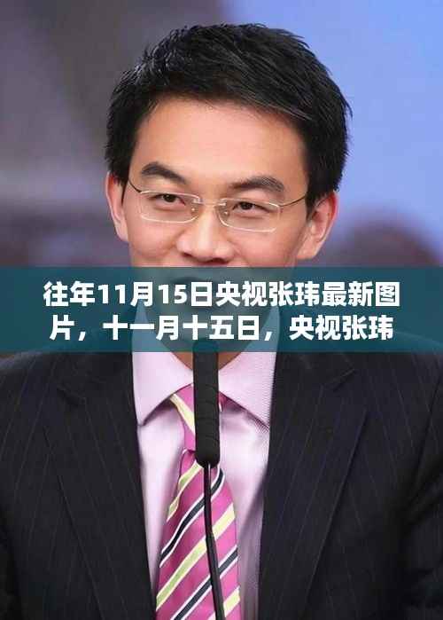 央视张玮最新图片揭秘,十一月十五日的温馨日常
