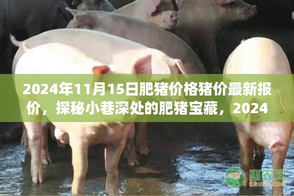 探秘肥猪宝藏,最新猪价报价与美食体验之旅(2024年)