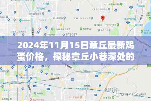 探秘章丘小巷深处的鸡蛋价格,特色小店背后的秘密(最新价格更新)