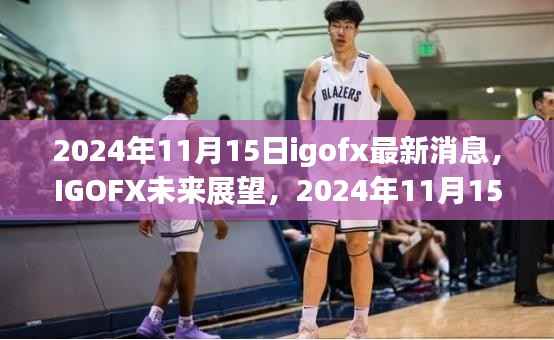 IGOFX最新消息与行业展望,未来趋势分析(2024年11月15日)