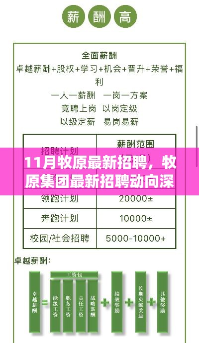 牧原集团最新招聘动向深度解析,11月招聘产品特性与用户群体分析