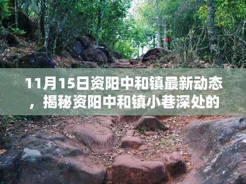 资阳中和镇小巷深处的独特风味揭秘,特色小店最新动态