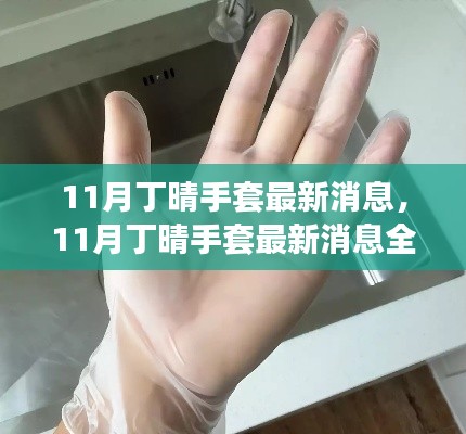11月丁晴手套最新消息解析,选购与使用指南