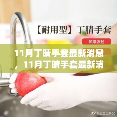 11月丁晴手套最新消息解析,选购与使用指南