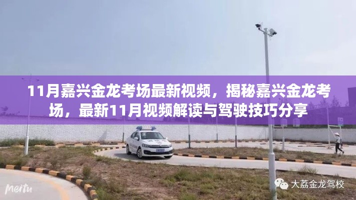 九死一生 第10页