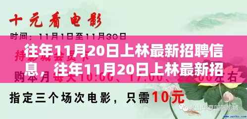 往年11月20日上林最新招聘信息详解与全面评测介绍