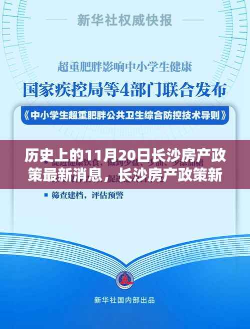 历史上的11月20日长沙房产政策最新消息，长沙房产政策新篇章，一个温馨日常的十一月回忆