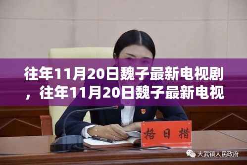 往年11月20日魏子最新电视剧盘点,热门剧集一网打尽回顾