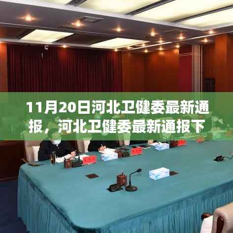 河北卫健委最新疫情防控观察与通报分析,11月20日动态及思考