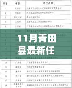 青田县最新任前公示详解,查询指南与流程步骤