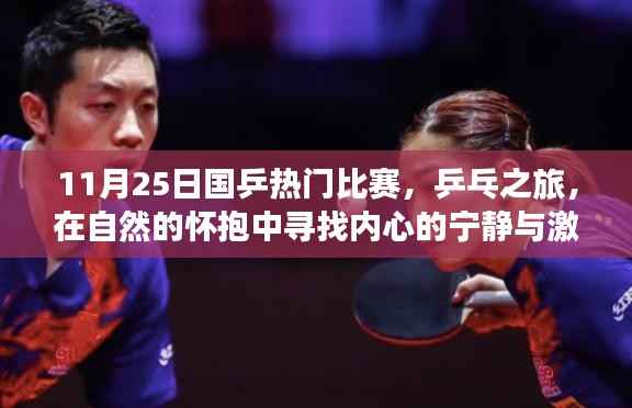 11月25日国乒热门比赛,乒乓之旅,在自然的怀抱中寻找内心的宁静与激情