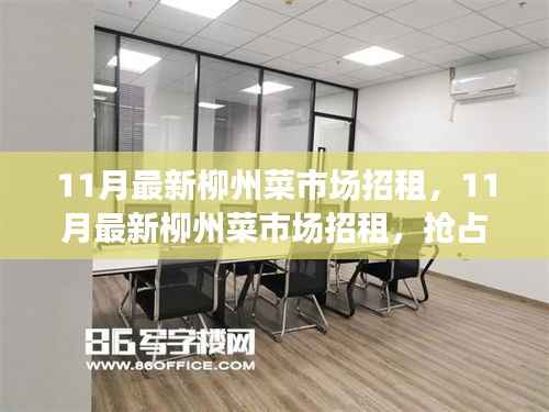 11月最新柳州菜市场招租,11月最新柳州菜市场招租,抢占黄金商铺,开启财富之门