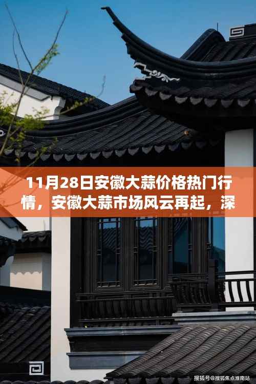 安徽大蒜市场风云再起,价格走势深度解读与行情热议