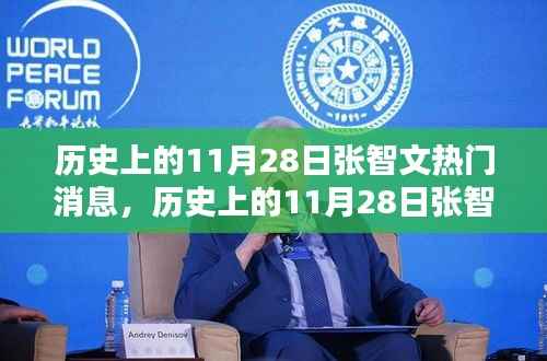 揭秘历史上的张智文热门消息,揭秘11月28日的那些事儿