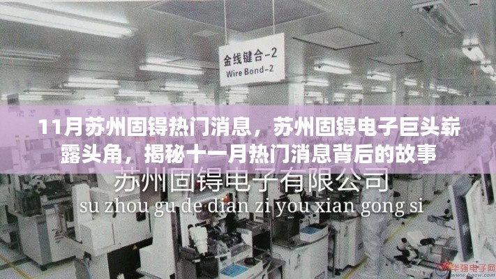 揭秘苏州固锝电子巨头崭露头角,十一月热门消息背后的故事