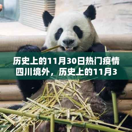 全球疫情蔓延下的四川之外的世界历史回望,11月30日的记忆