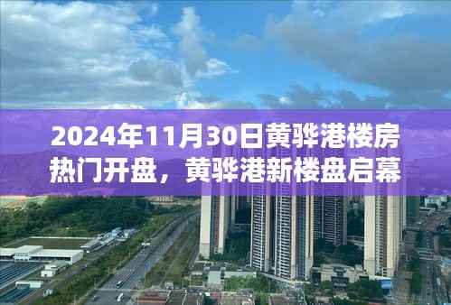 黄骅港新楼盘启幕,与自然共舞,探索宁静港湾的热门开盘日