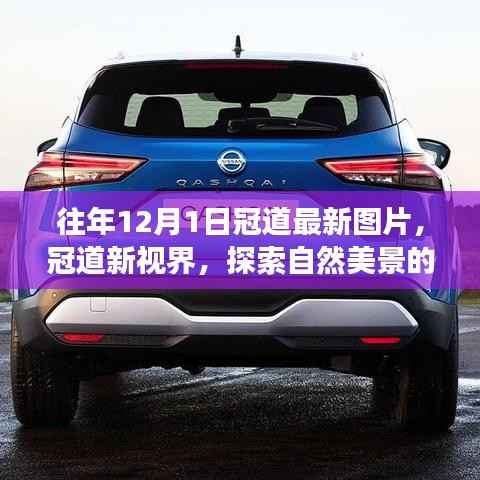 往年12月最新冠道图片,探索自然美景,内心宁静之旅