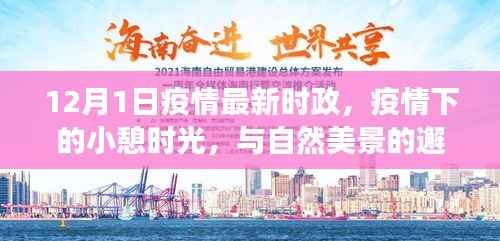 疫情下的自然邂逅,时政动态与小憩时光的最新观察