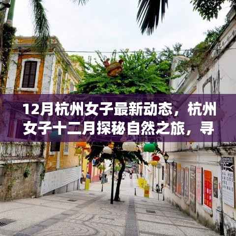 杭州女子十二月自然探秘之旅,寻找内心的宁静与平和