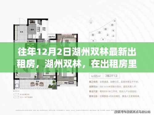 湖州双林，追寻自然微笑与内心宁静的出租房之旅，最新房源一览