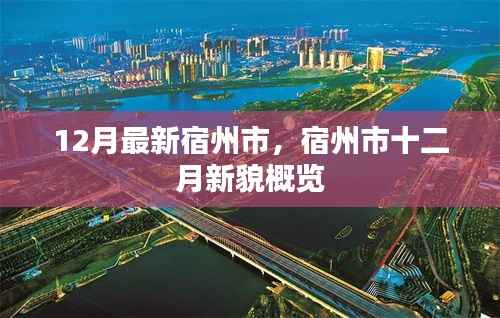 联系我们 第265页