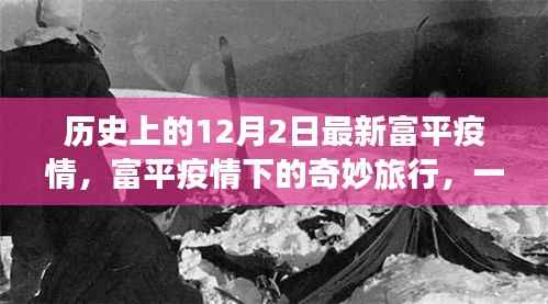 富平疫情下的自然之旅,12月2日的奇妙邂逅