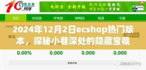 探秘小巷深处的宝藏,揭秘热门ecshop版本与特色小店的独特风情