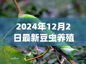 admin 第4页