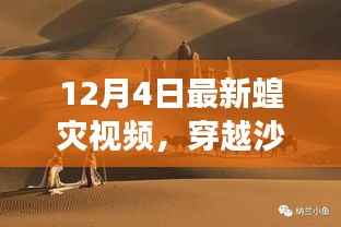 揭秘蝗灾背后的自然奇迹,穿越沙漠绿洲的心灵之旅最新视频曝光