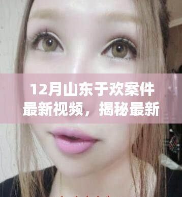 揭秘山东于欢案真相,深度解析最新视频曝光的内容
